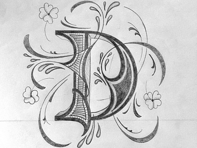 D flourishes illustration lettering script