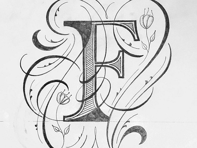 F flourishes illustration lettering