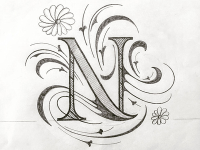 N flourishes illustration lettering