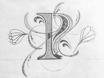 P flourishes illustration lettering