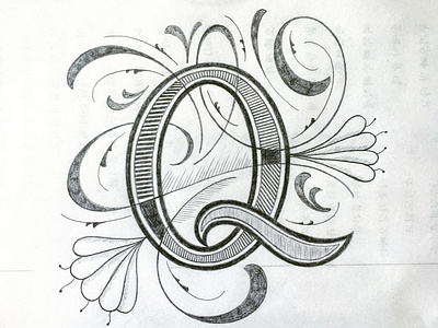 Q flourishes illustration lettering