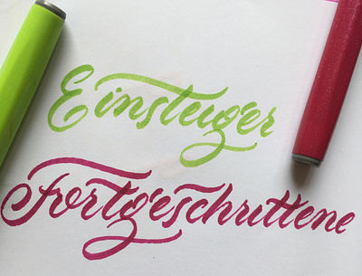 Einsteiger/Fortgeschrittene brush brushlettering flourishes lettering