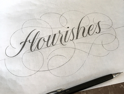Flourishes flourishes lettering sketch