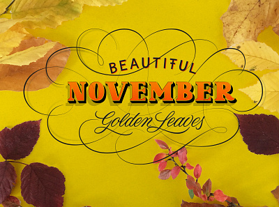 November Vibes flourishes lettering script texture