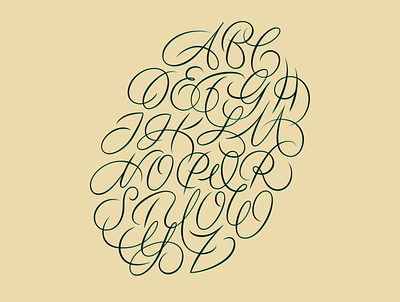 Alphabet oval flourishes illustration lettering