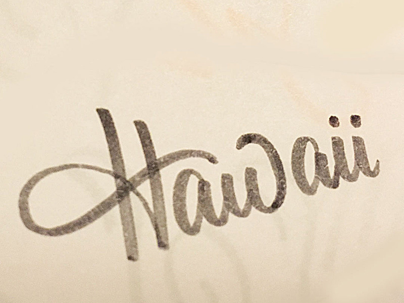 hawaii-by-robert-bree-on-dribbble