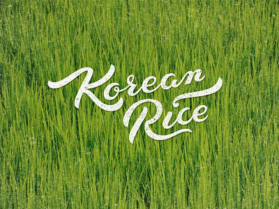 Korean Rice foto lettering script texture