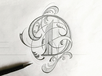 Lettering D flourishes lettering sketch