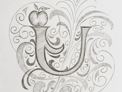 U Letter flourishes lettering sketch