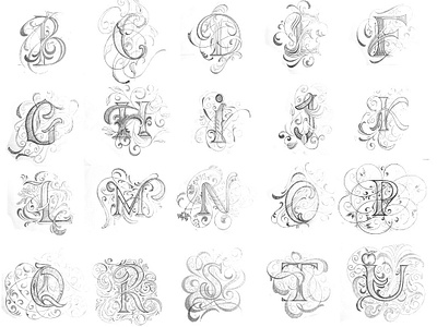 Alphabet flourishes lettering sketch