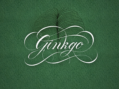 Ginkgo flourishes lettering script texture