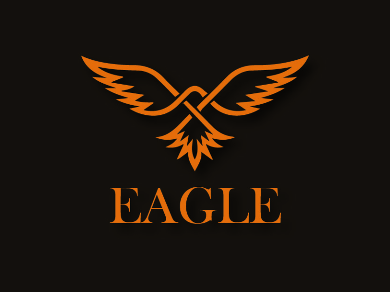 Eagle Logo by Mahwish Malik on Dribbble