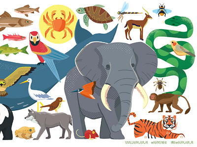 World Fauna design graphic design illustration vector