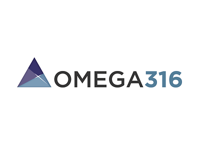 OMEGA316 Cyber Security Company Logo cyber secuirty spiritual flare triangle