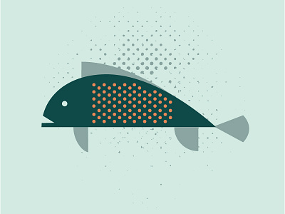 Fish animal color design fish illustration minimalistic pattern swim vector