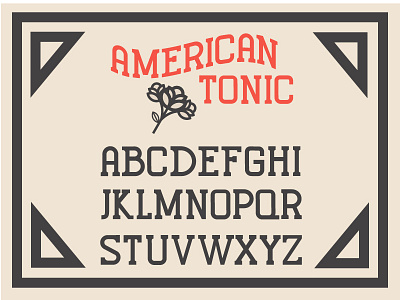 American Tonic badge font logo monogram photography type typeface