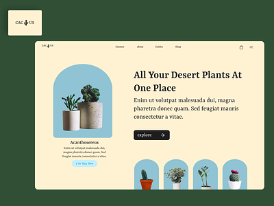 CACTUS - desert plant website 3d animation beginner branding design graphic design icon illustration logo motion graphics u ui ux