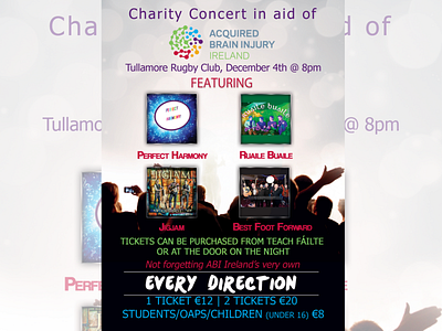 Acquired Brain Injury Ireland Poster acquired brain injury ireland charity charity concert poster