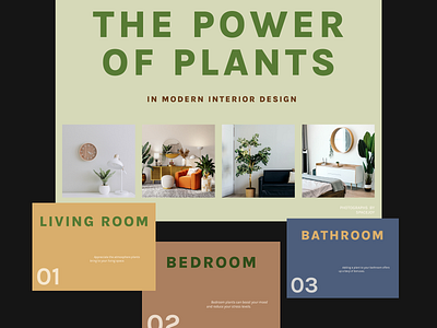 The Power of Plants #1 breath design figma graphic design home interiordesign minimal nature photography plants relax typography water