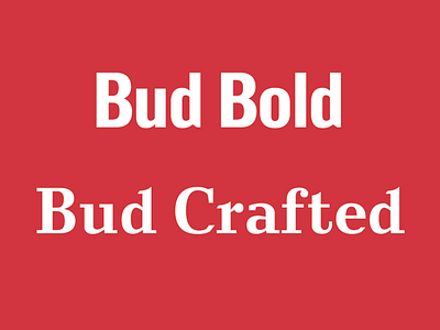 Bud Bold and Bud Crafted fonts branding lettering type typography