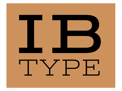 IB Type logo branding design lettering logo type typography