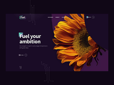 Fuel // Homepage after effects animation fuel interaction light mouse webgl