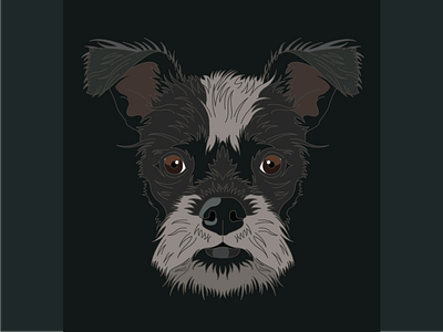 Solo design digital illustration dog illustration illustrator lineart terrier