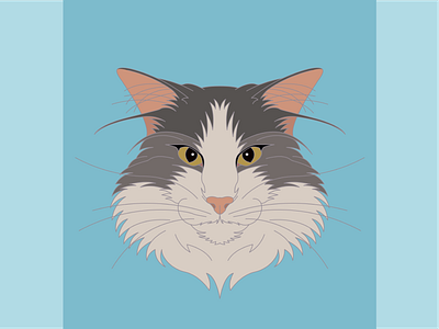 Finch cat cats digital digital art illustration illustrator line lineart meow