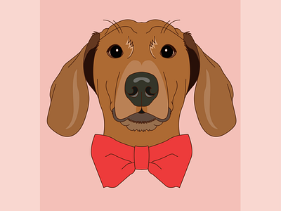 Morty design digital illustration dog illustration illustrator lineart weiner dog