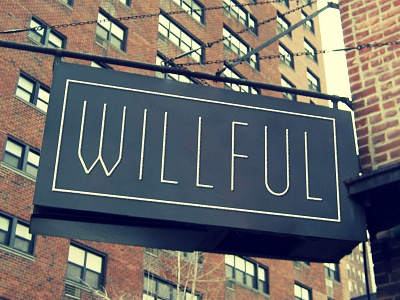 Willful branding identity logo mockup type typography