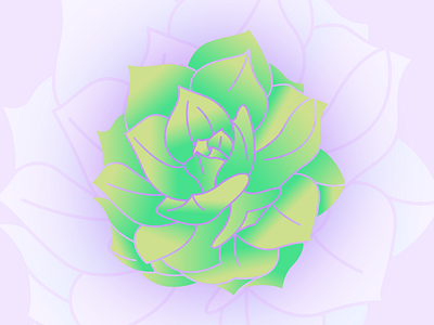Simple Succulent graphic design illustration illustrator plant simple succulent vector