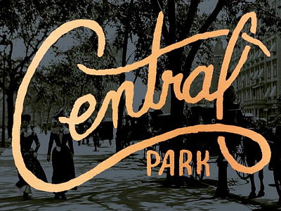 Central Park central park lettering new york typography