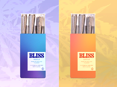Bliss - Conceptual Mockup cannabis gradients graphic design packaging typography
