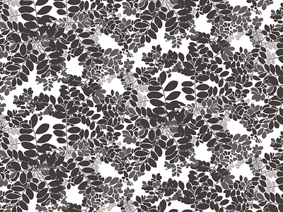 Moringa pattern in black and white