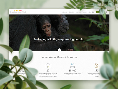 Jane Goodall UI ui ui design ux web design website website design