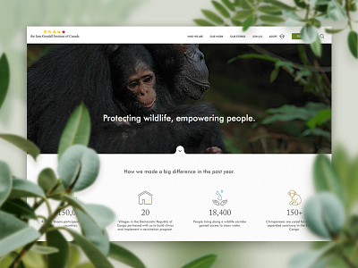 Jane Goodall UI