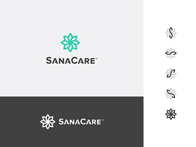 SanaCare branding care logo medical monogram type typography