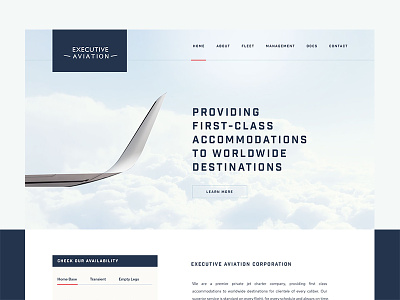 Executive Homepage aviation homepage layout plane web design website wip