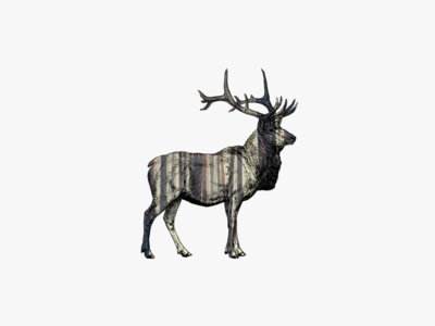 Elk Designs Themes Templates And Downloadable Graphic Elements