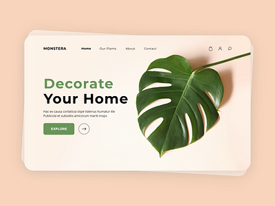 Monstera | Landing