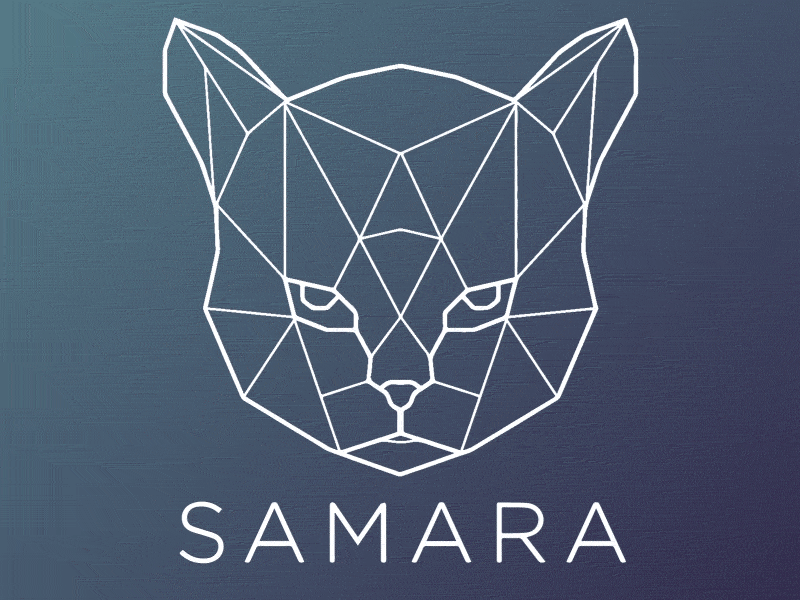 Logo Animation - Samara animation logo logo animation