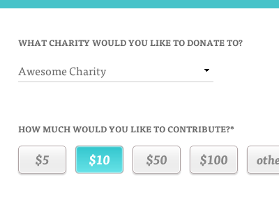 Select Contribution Amount css non profit web design