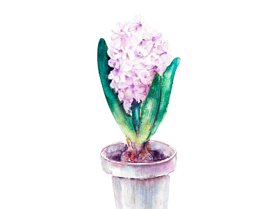 Easter set cake card decor easter egg flower hyacinth illustration pattern pink watercolor white