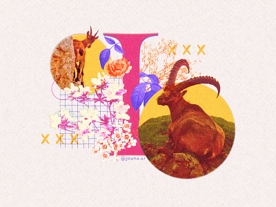 Ibex - Digital Collage art collage collage art design digital collage digital illustration ibex illustration procreate wildlife