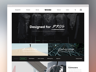 Incase Homepage Direction 1