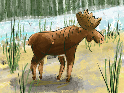 The Mighty Moose adobe fresco digital illustration illustration maine moose new england
