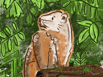 The Noble Woodchuck animal digital illustration illustration nature woodchuck woods