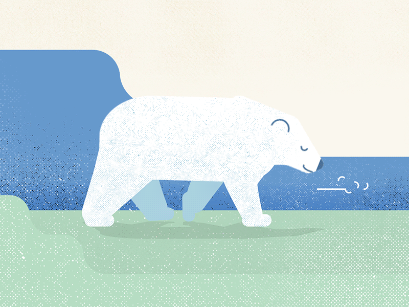 Bear - walk cycle by Vincent Raineri on Dribbble
