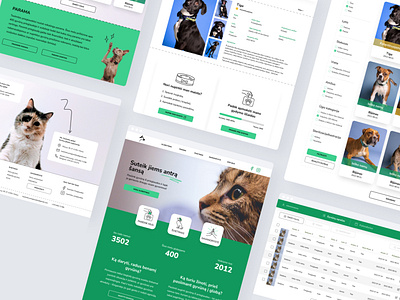 Animal Shelter WEB re-design