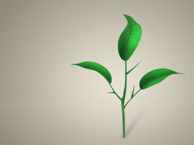 Plant from scratch icon icons photoshop plant